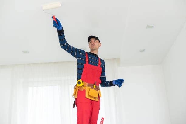 Best Repainting for Renovations  in St Helena, CA